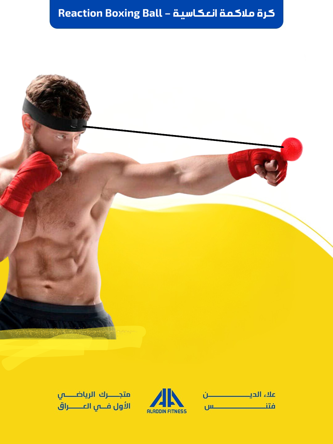 كرة ملاكمة انعكاسية