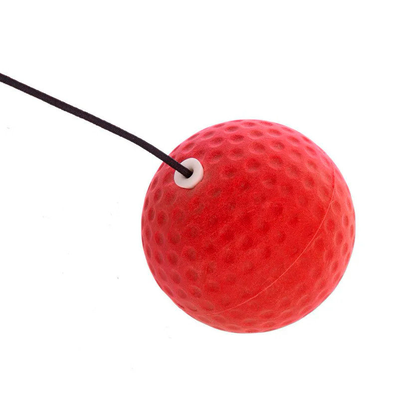 كرة ملاكمة انعكاسية